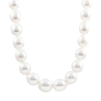 Autore South Sea Pearl Necklace