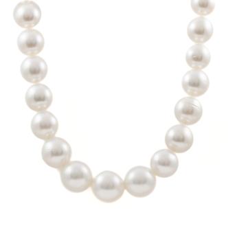 14.7-11.0mm Autore SS Pearl Necklace