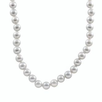 7.5mm-8.0mm Akoya Pearl Necklace