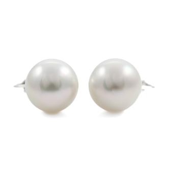 14.5mm South Sea Pearl Earrings